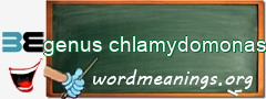 WordMeaning blackboard for genus chlamydomonas